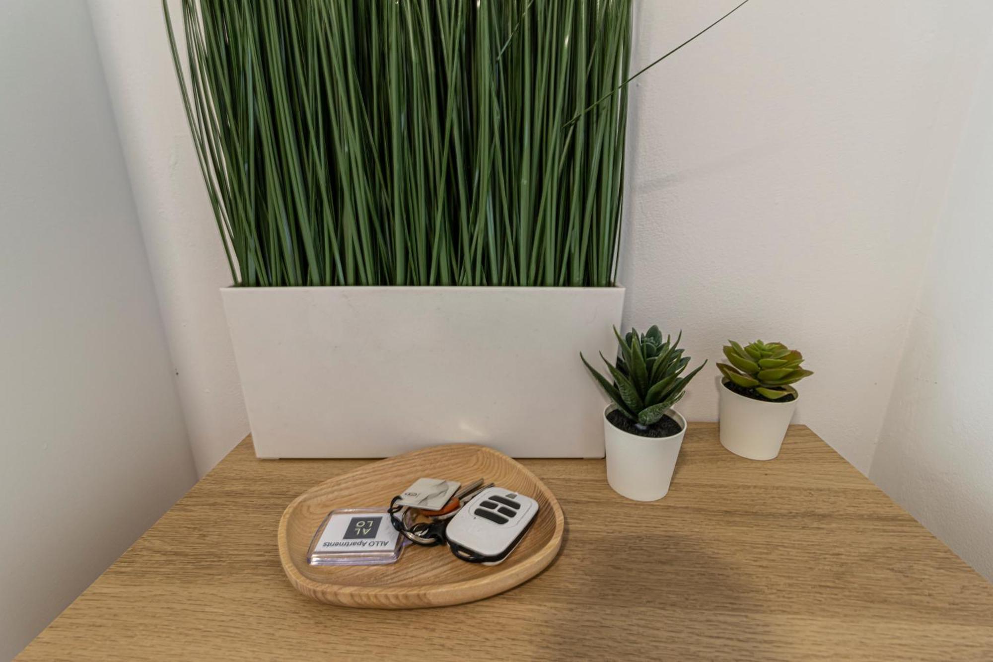 Allo Apartments Arroyo Atico Parking 1 Habitacion Jerez de la Frontera Dış mekan fotoğraf